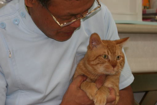 20090831-chacha.jpg