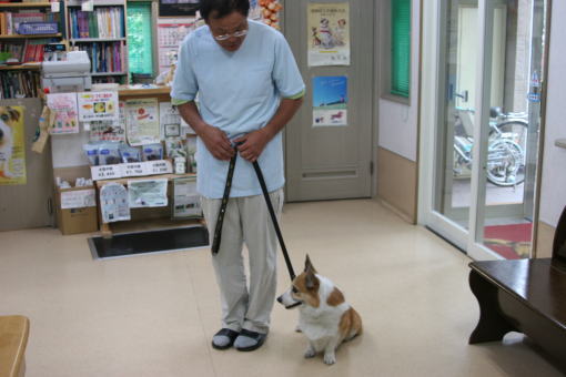 20090831-sido.jpg