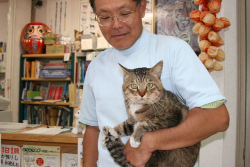 20090831-tora.jpg